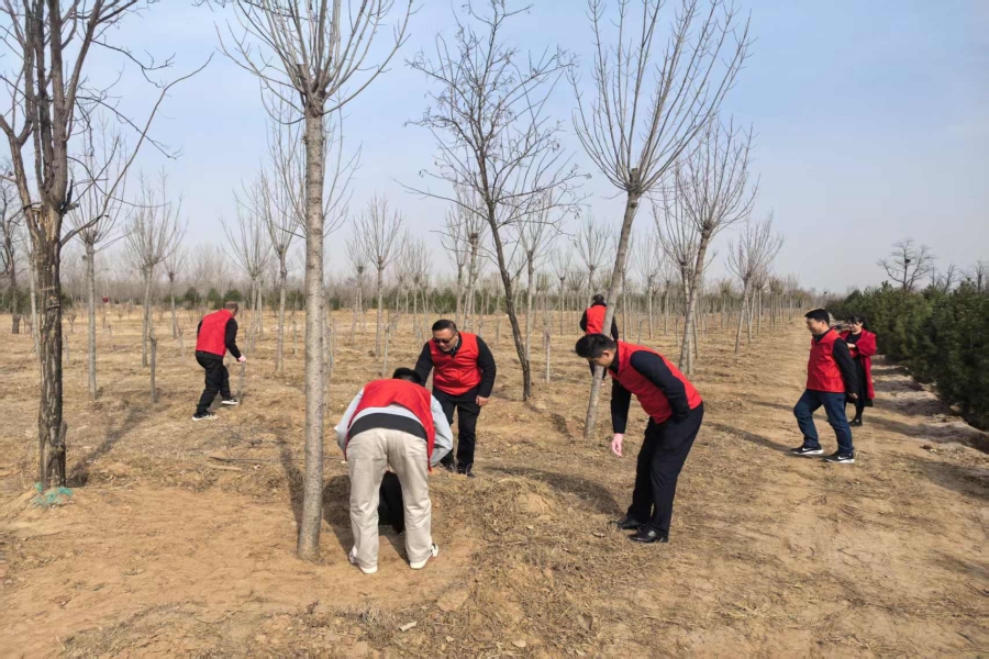 1742542372990865.jpg 47c7dabcede4b01b7f9dd6b41c42764_副本.jpg