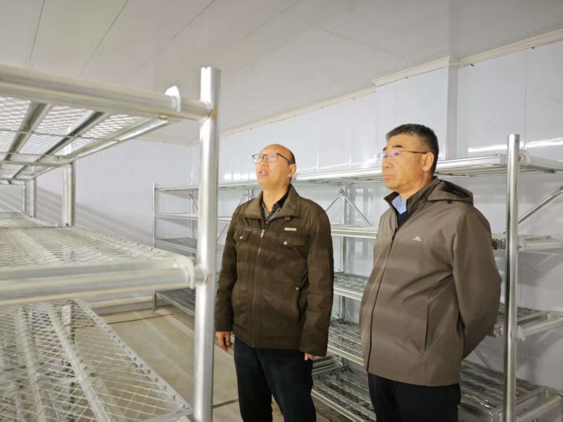 1747012059915746.jpg 1747012059915746.jpg